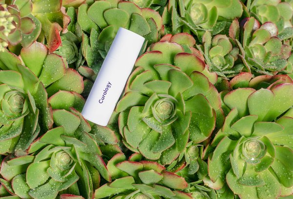 Qu'est-ce que la phytothérapie et quelles sont ses indications ?