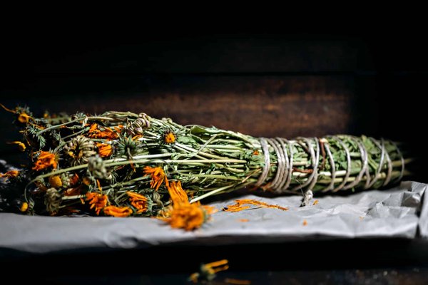Quels sont les principes actifs des plantes médicinales et comment les utiliser ?